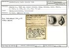 Karteikarte zum Holotyp von Cristellaria bufo Stache, 1864